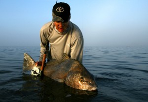 black-drum-release.jpg