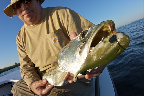 Seatrout on DOA Bait Buster