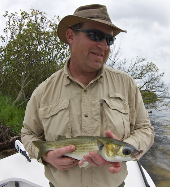 mullet-on-fly.jpg