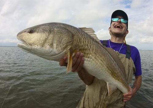 big redfish