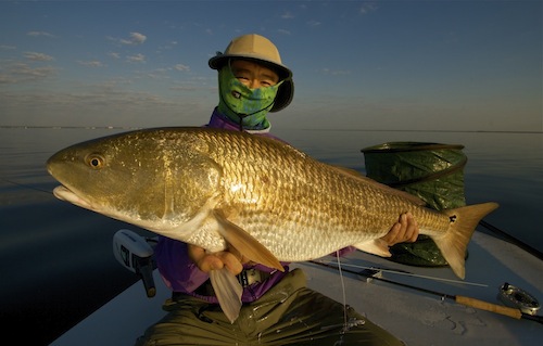 makoto's redfish