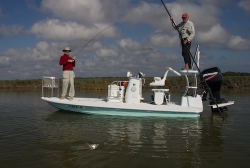 texas redfish