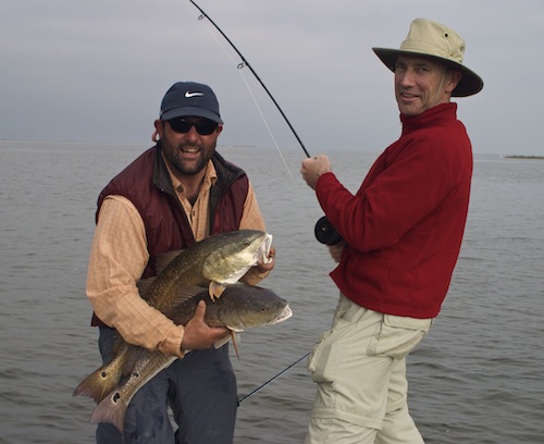 louisiana redfish