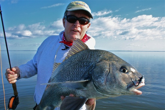 black drum