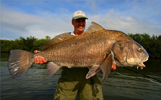 Fly Fish Banana River Black Drum