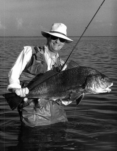 black drum image