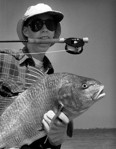 black drum image