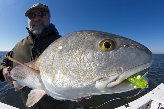 Mosquito Lagoon Fishing Report