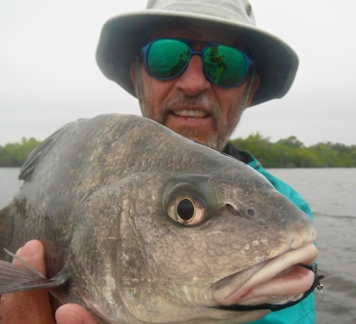 mosquito lagoon fishing report