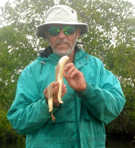 mosquito lagoon fishing report