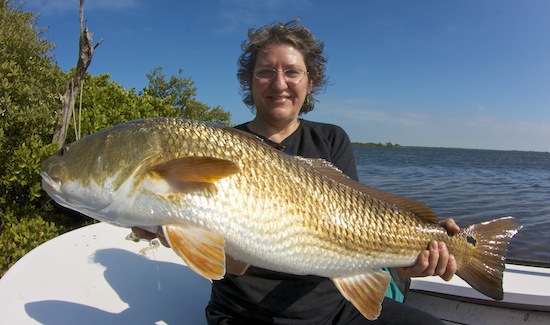 mosquito lagoon fishing report