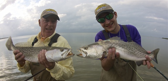 spotted seatrout