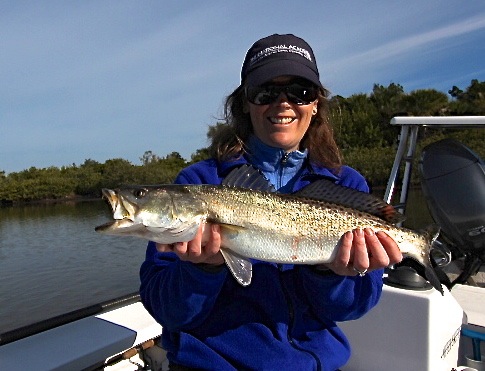 Mosquito Lagoon seatrout