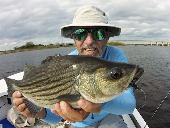 orlando area fishing report