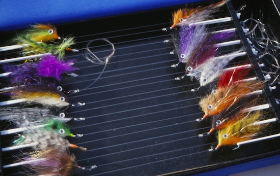 tarpon box