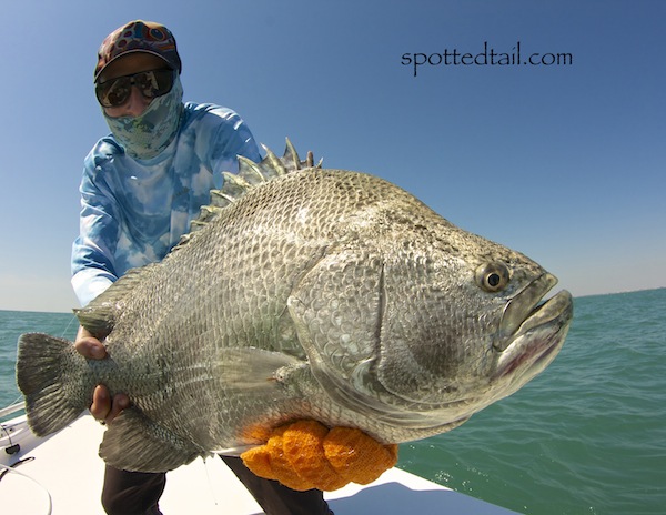 Orlando Saltwater Fishing Report