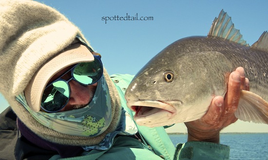 Orlando Saltwater Fishing Report