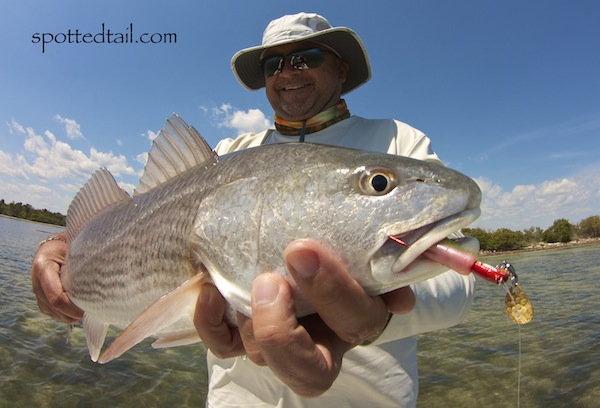 Orlando Saltwater Fishing Report