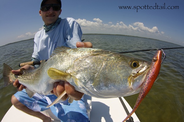 mosquito lagoon fishing report