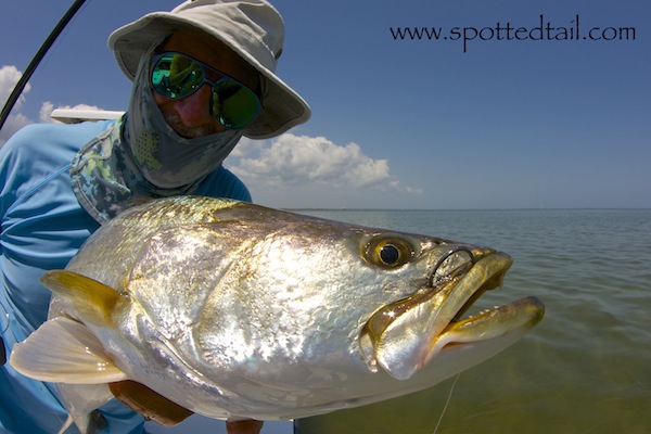 mosquito lagoon fishing report