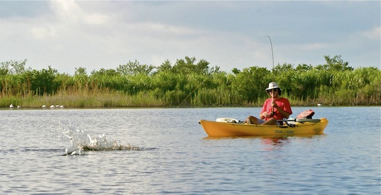 hot the redfish told the story