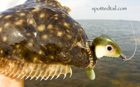 orlando saltwater fishing report