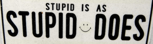 stupid is