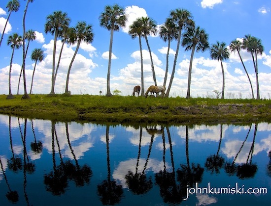 florida photo essay