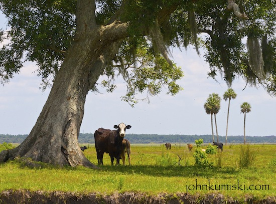 florida photo essay