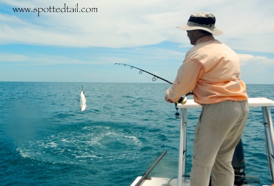 Orlando Saltwater Tarpon Fishing Report