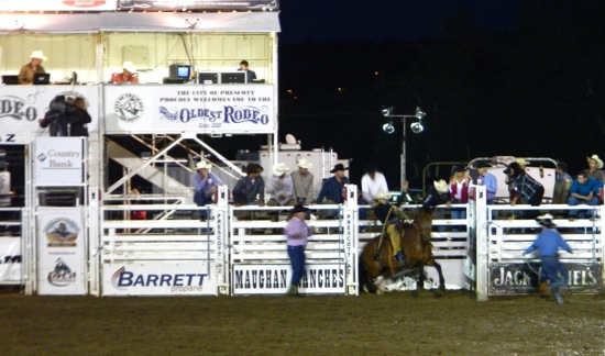 A bronco ridr tries to stay on the horse for eight seconds.