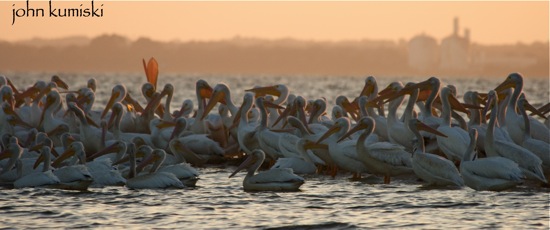 Indian River Lagoon Paddle Adventure