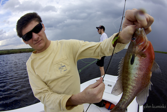 St. Johns River Fishing Report