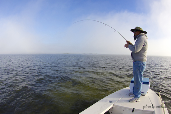 Orlando Area Saltwater Fishing Report - the spotted tail