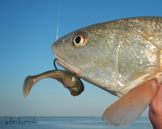 indian river lagoon fishing report