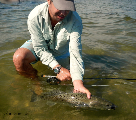 indian river lagoon fishing report