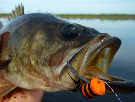 orlando area fishing report