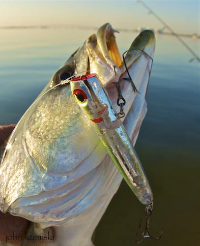 poppers for seatrout