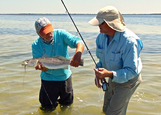 Mosquito lagoon fishing report