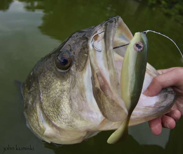 fishing streamsong