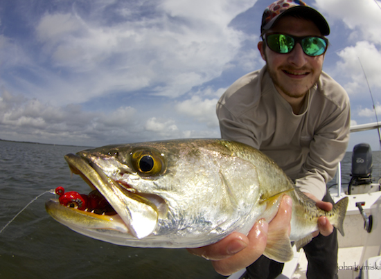 mosquito lagoon fishing report