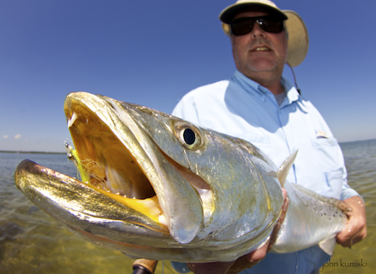 Mosquito lagoon fishing report