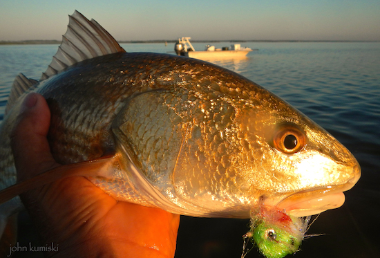 Mosquito lagoon fishing report