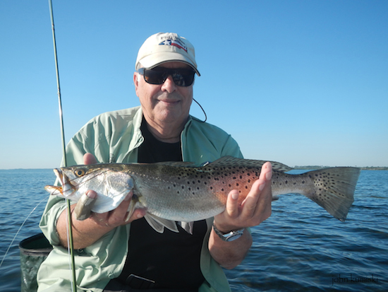 Mosquito lagoon fishing report