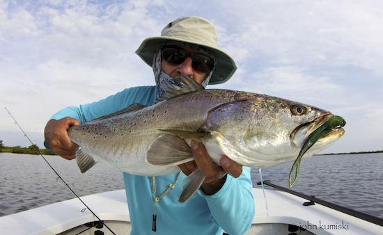 mosquito lagoon fishing report