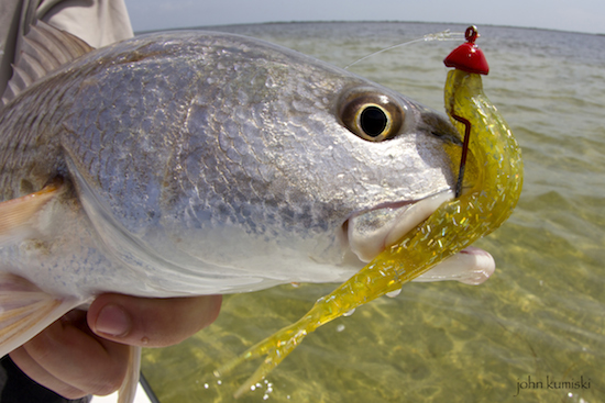 mosquito lagoon fishing report