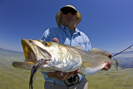 Mosquito lagoon fishing report