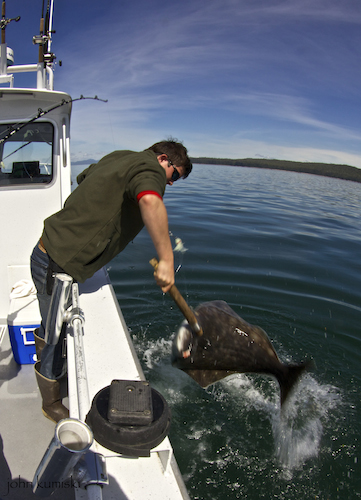 fishing report from the lodge at whale pass