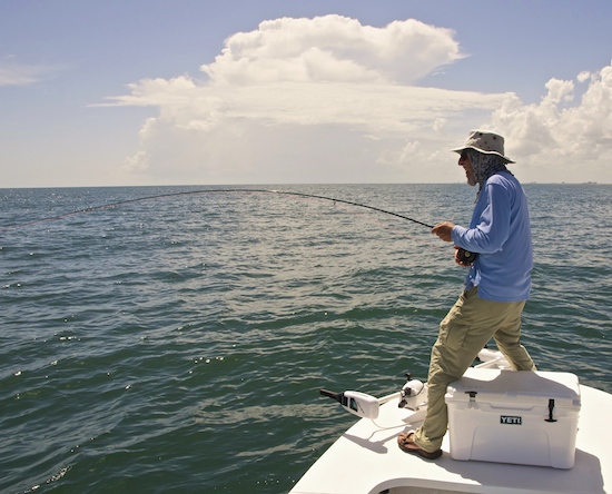 once inlet fishing report