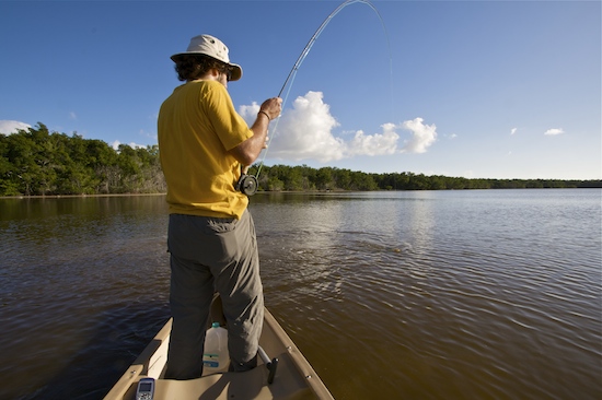 Maxx battles a snook, Mud Lake.